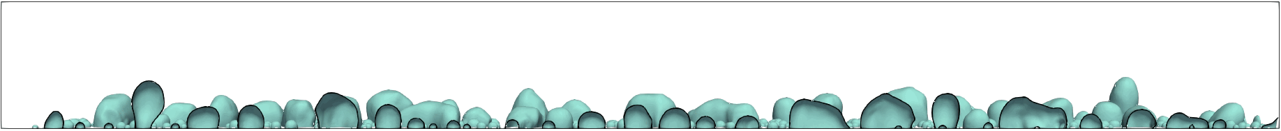 Flow boiling simulation