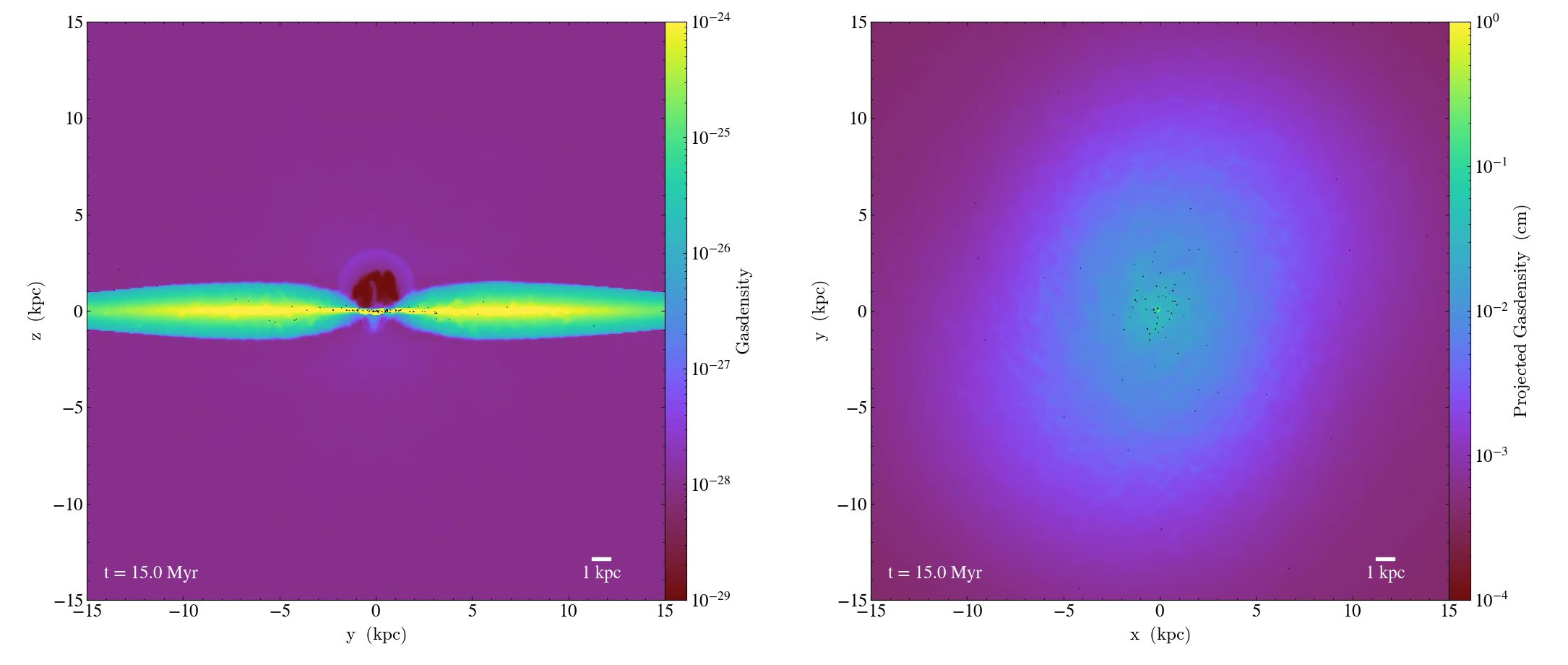 Quokka galaxy simulation