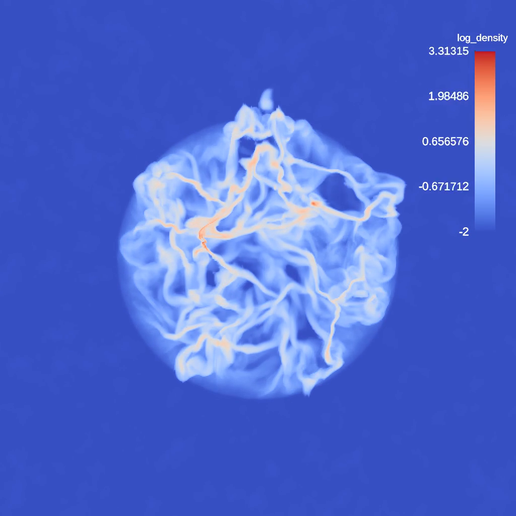 Quokka star cluster simulation